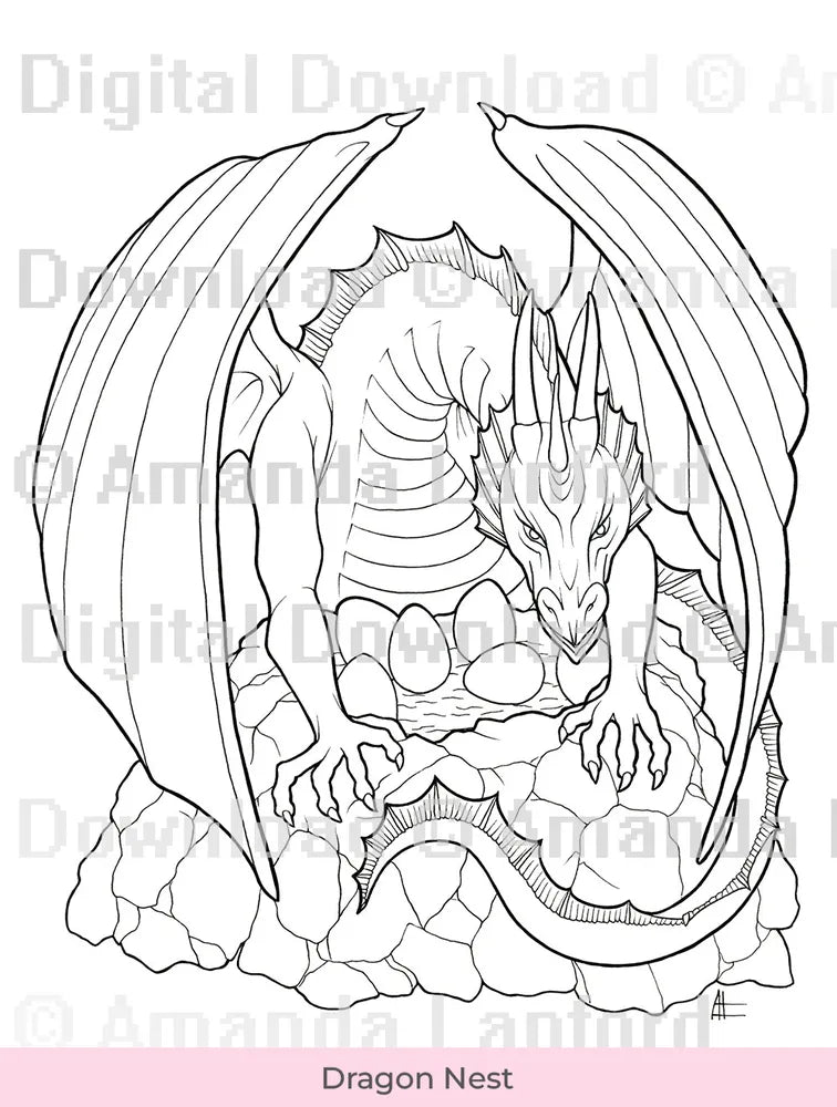 5 Printable Coloring Dragons Free Dragon Coloring Pages For Kids