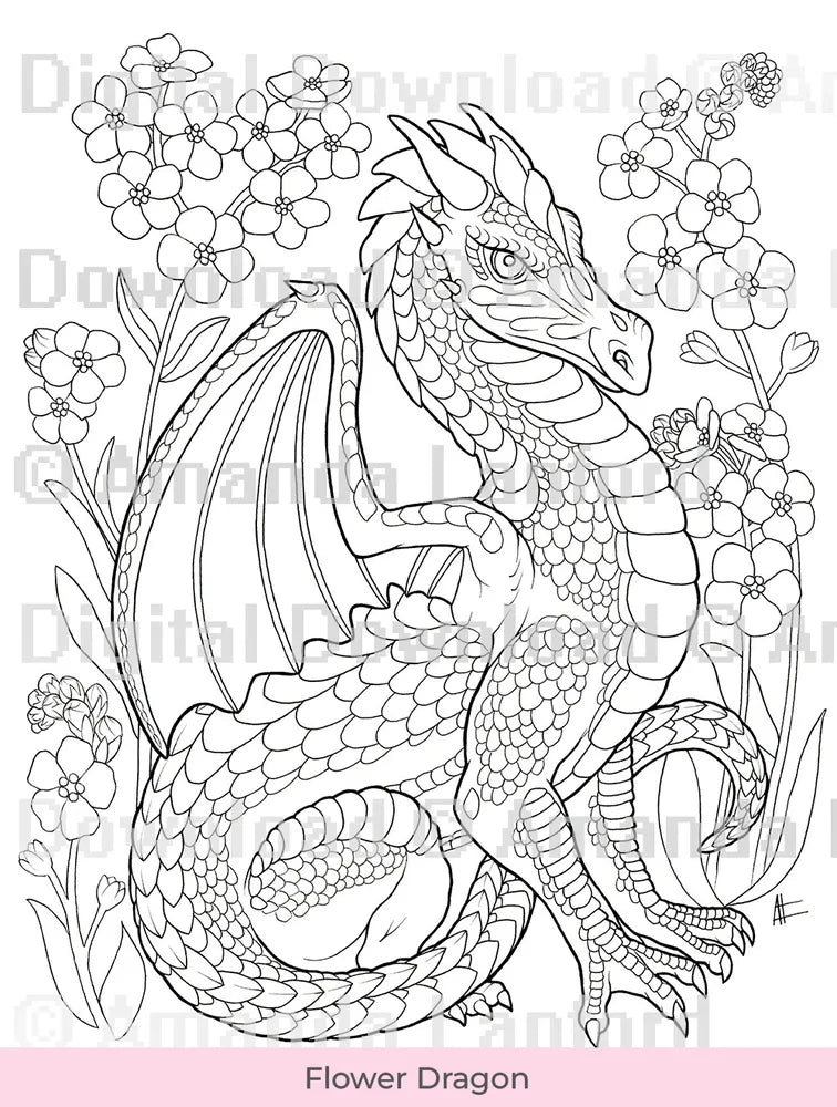 Coloring Dragons - Fantasy Coloring Book (DIGITAL DOWNLOAD) · Art by Amanda Lanford coloring-dragons-fantasy-coloring-book-digital-download-art-by-amanda-lanford